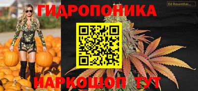 стаф Ипатово