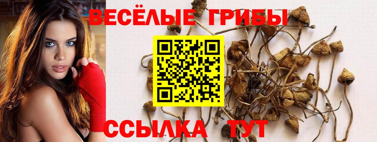 Галлюциногенные грибы Cubensis Кушва