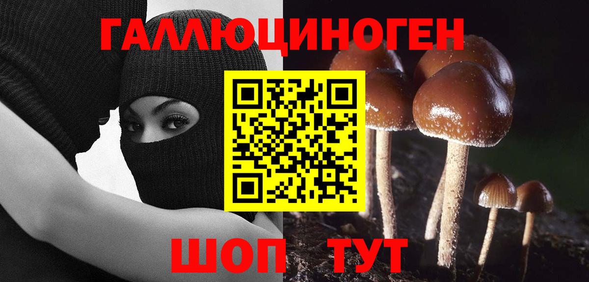 Псилоцибиновые грибы прущие грибы  Вход с VPN  Кушва 