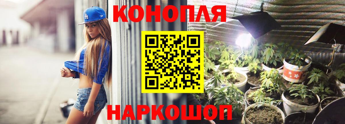Канабис индика  Конопля OG Kush  Вход с VPN  Каннабис VHQ  Кушва  Бошки марихуана семена 